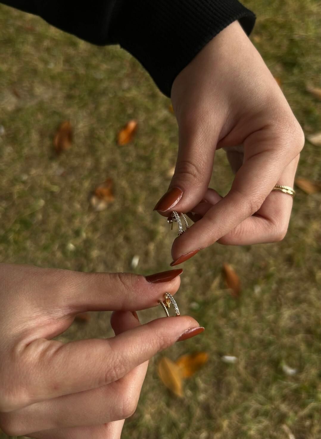 Çift Sıra Taşlı Altın Halka Küpe