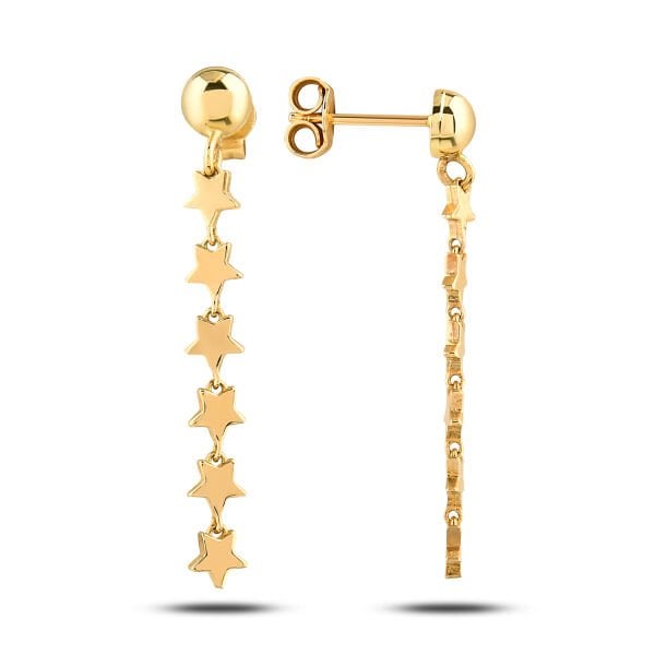 14 Ayar Starlight Altın Küpe